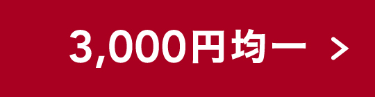 ボタン3000