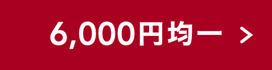 ボタン6000