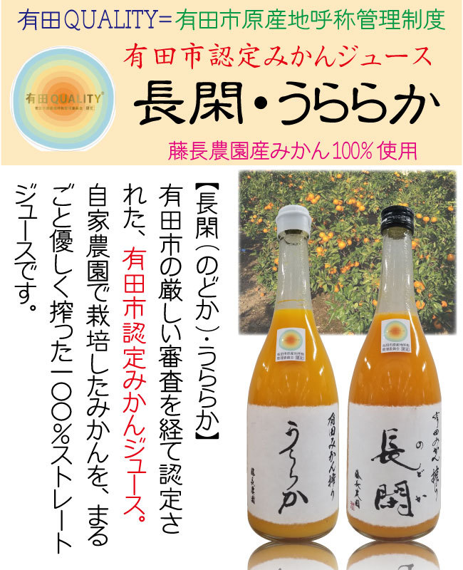 有田市認定 みかん ジュース 長閑・うららか 100% 無添加 ストレート