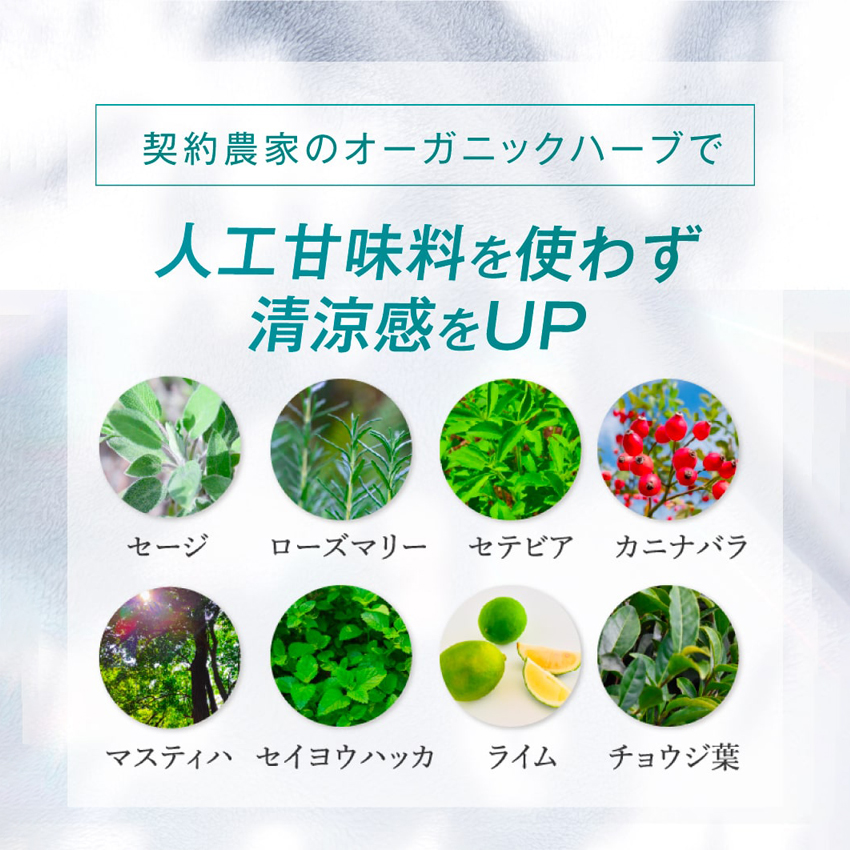 歯磨きジェル Reve レーヴ Allbe Natural Tooth Gel II 65g 歯磨き粉 ホワイトニング ギフトBOX エアレスポンプ | ブランド登録なし | 09