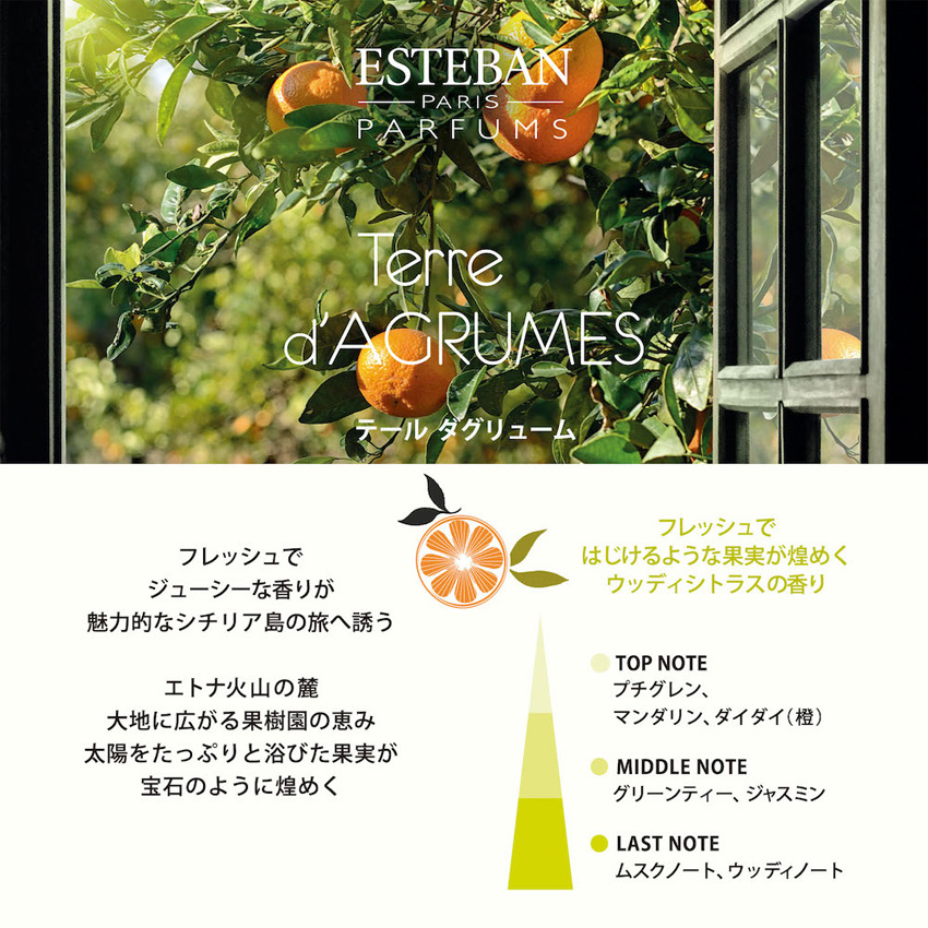 ESTEBAN エステバン フレグランスオイル 15ml ネロリ アロマ オイル ルームフレグランス 香り ディフューザー｜luastyle｜12