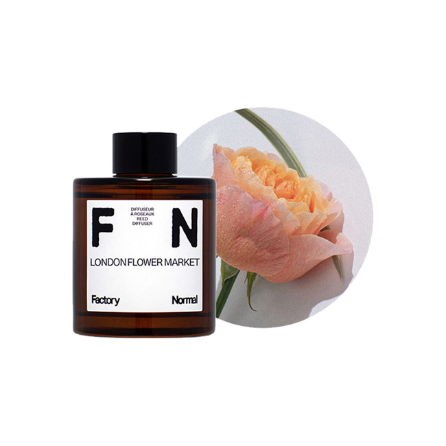 国内正規品 リード付き】Factory Normal ファクトリーノーマル