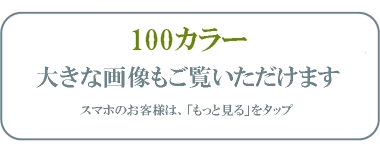 ルーセントマート オリジナル ハンドタフトオーダーメイド ラグ エコール ecoulu 色糸サンプル/100色/受注生産/職人手作り |  | 107