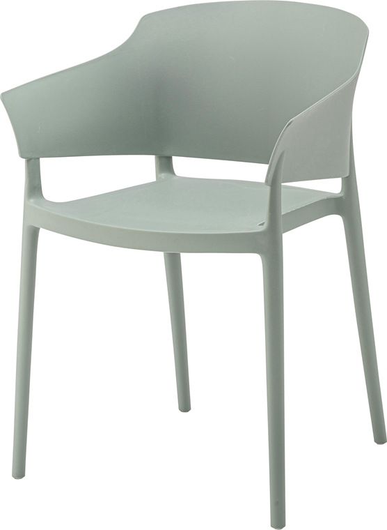 チェア ミーティングチェア/樹脂製/１脚/幅56.5 座面高46 |  | 01