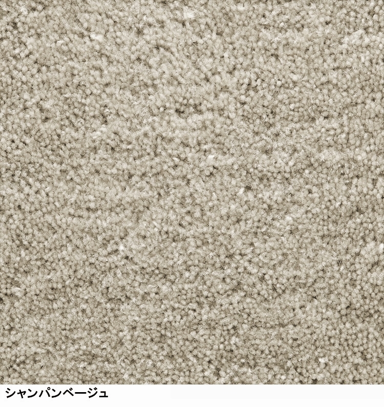 ラグ 廊下敷/高級 絨毯/50×250cm 長方形 楕円/日本製 東リ/T-MISTY/８