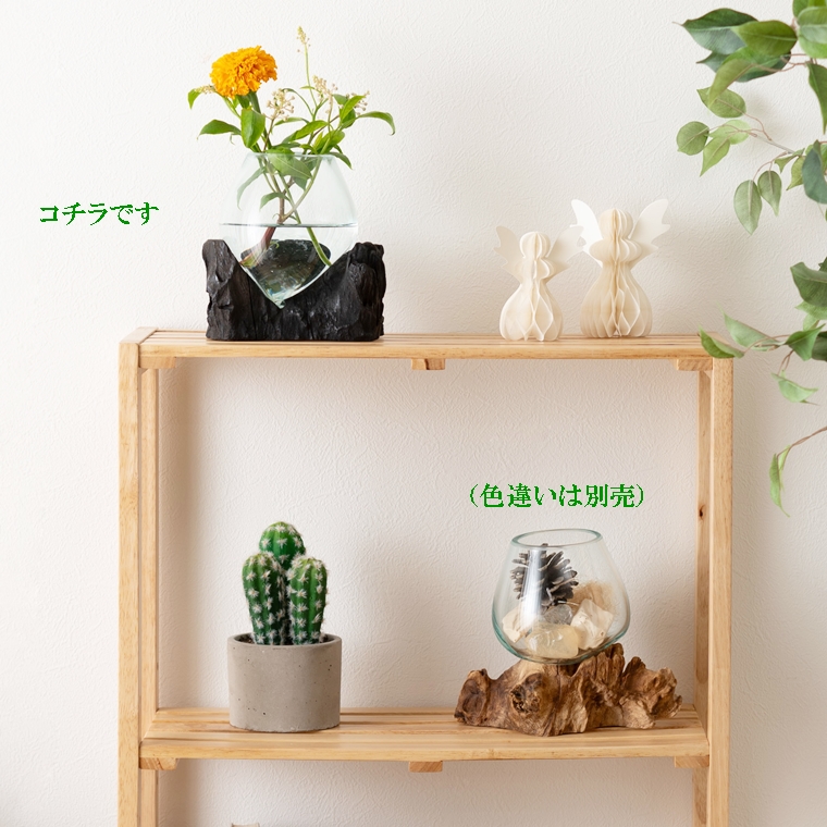 ガラスボール 天然木 流木 オブジェ/幅20〜30/1個 : ルーセントマート