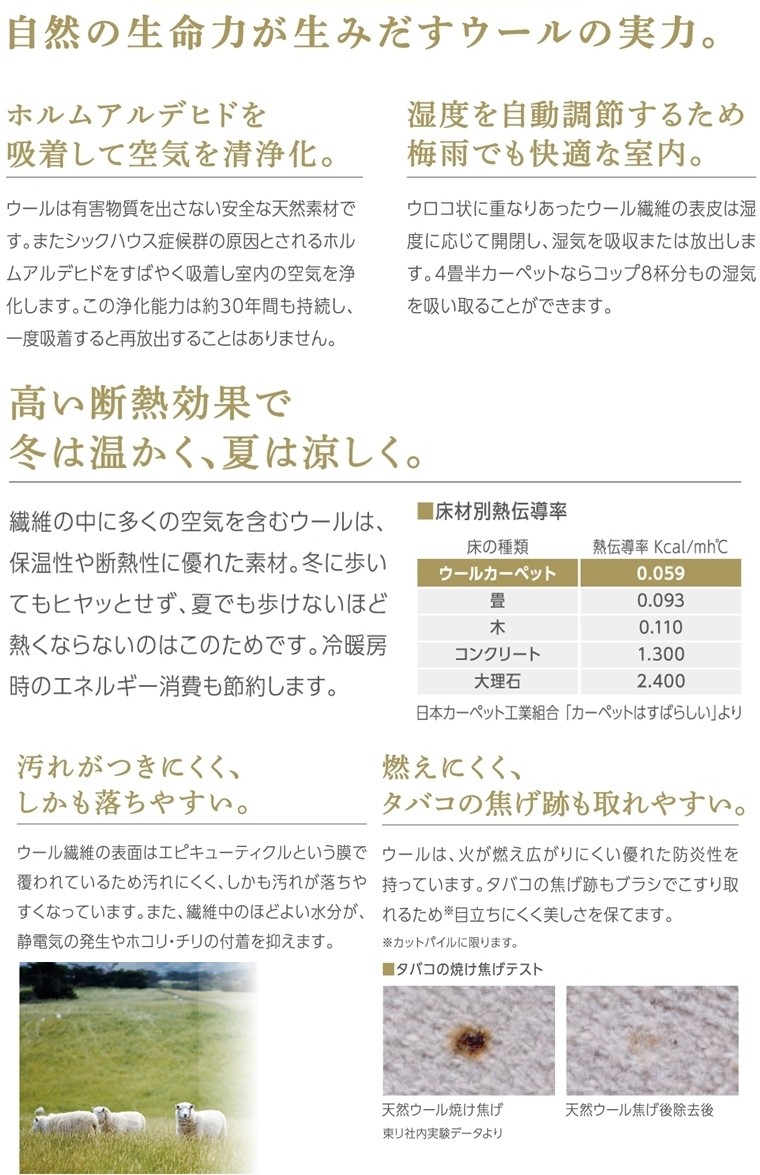 カーペット ラグマット/200×200cm/日本製/ウール 100%/東リ T-JN/３色
