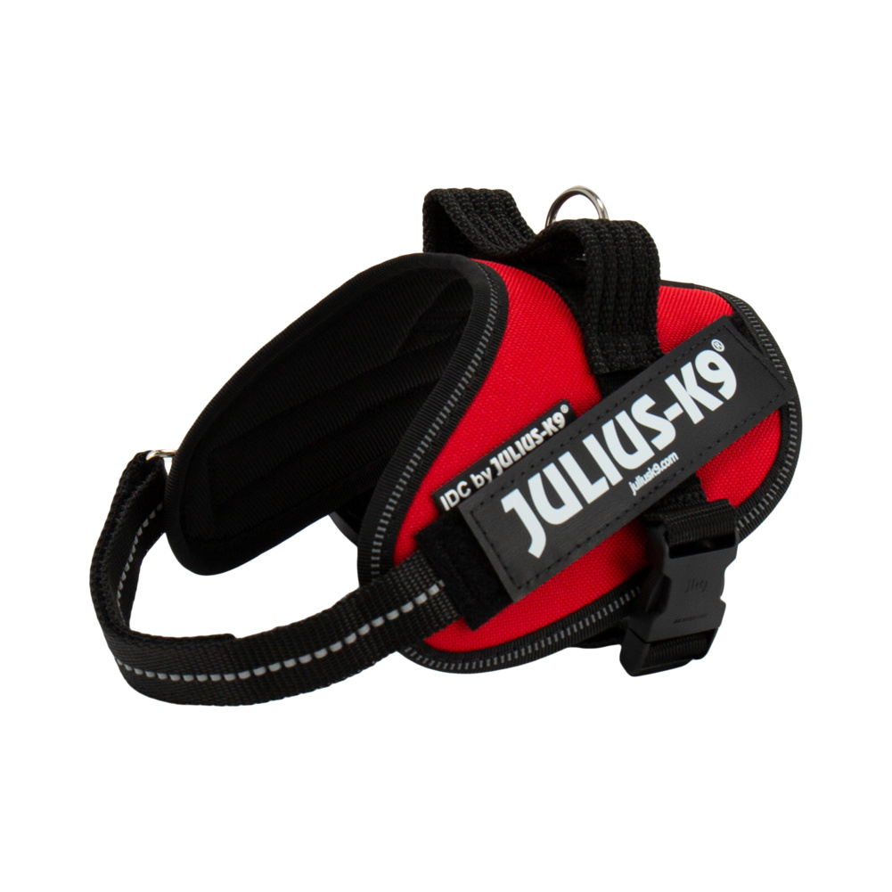 JULIUS-K9（ユリウスケーナイン） 【並行輸入品】 Julius-K9 IDC