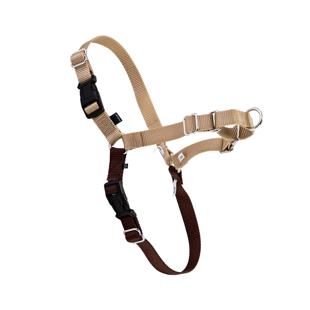 PetSafe 【並行輸入品】 ペットセーフ Petsafe 犬用 イージーウォーク