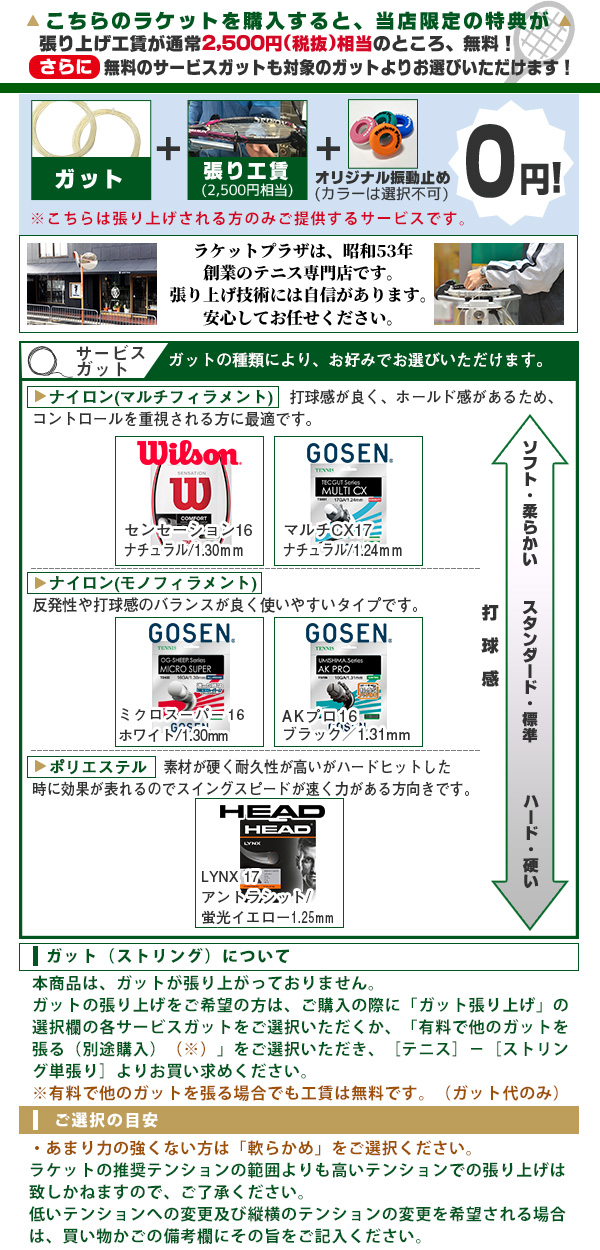 SPEED ヘッド テニスラケット スピードパワー 2024 PWR 236044