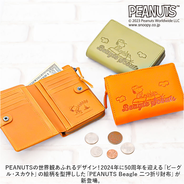 peanuts73064_2.jpg