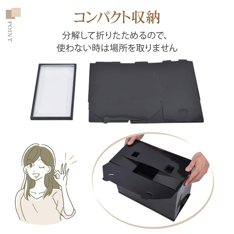 シューズボックス 2点セット クリア ボックス 収納BOX 靴箱 シューズ