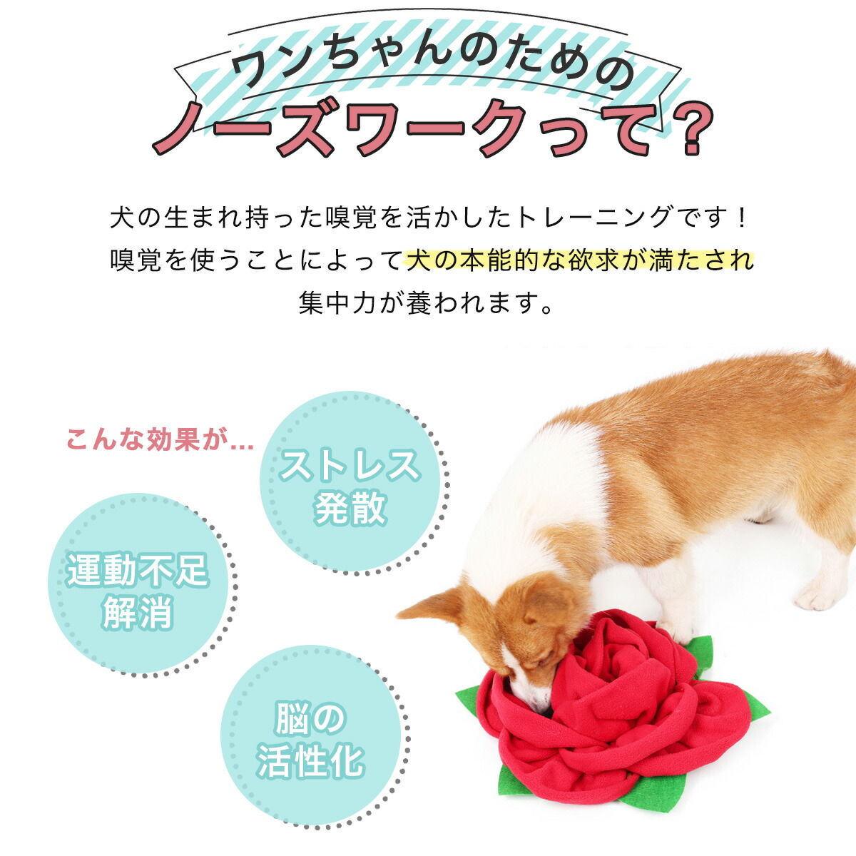 最大78％オフ！ 犬 おもちゃ かわいい ノーズワーク ペット ぬいぐるみ ストレス解消 運動不足 いぬ 知育玩具 音が出るおもちゃ 犬用おもちゃ  ペット用品 嗅覚訓練 www.vintapix.mx