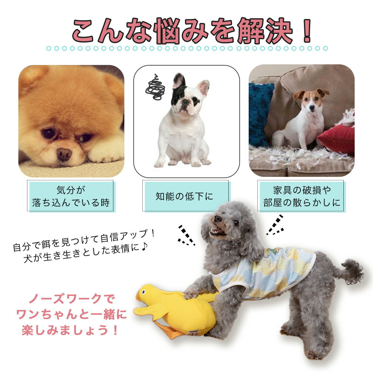 最大78％オフ！ 犬 おもちゃ かわいい ノーズワーク ペット ぬいぐるみ ストレス解消 運動不足 いぬ 知育玩具 音が出るおもちゃ 犬用おもちゃ  ペット用品 嗅覚訓練 www.vintapix.mx