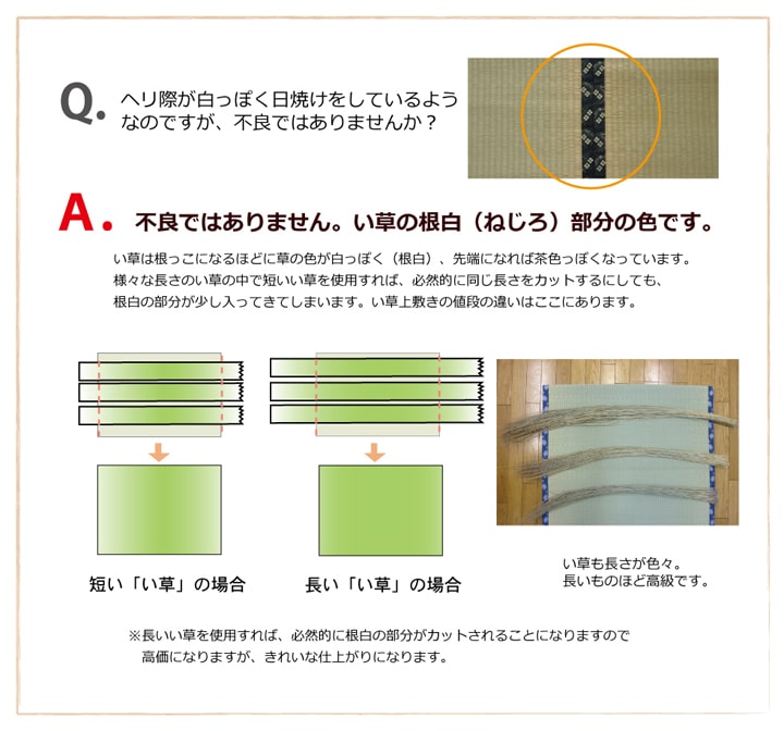 草津 い草 ござ 国産 日本製 上敷き 和室 敷物 カーペット お手入れ簡単 夏 抗菌防臭 調湿 消臭 空気清浄 汚れにくい 江戸間4.5畳(約261×261cm)｜luckykagu｜13