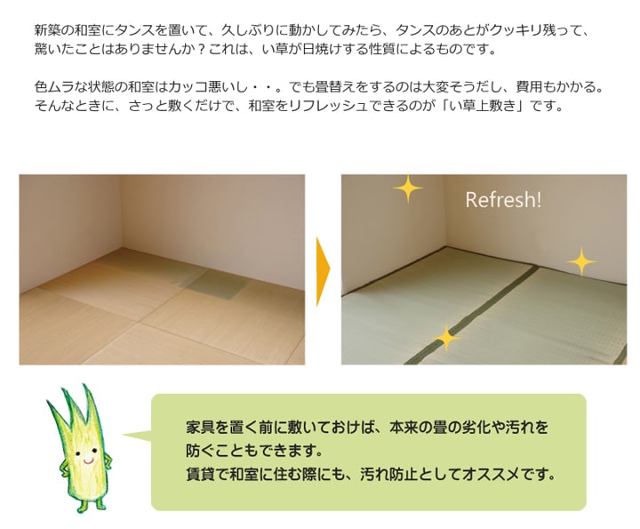 草津 い草 ござ 国産 日本製 上敷き 和室 敷物 カーペット お手入れ