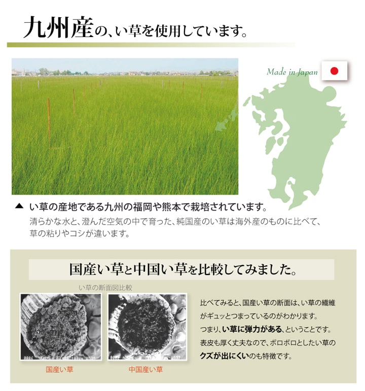 草津 い草 ござ 国産 日本製 上敷き 和室 敷物 カーペット お手入れ簡単 夏 抗菌防臭 調湿 消臭 空気清浄 汚れにくい 江戸間6畳(約261×352cm)｜luckykagu｜05