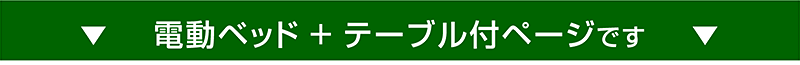 電動リクライニングベッド 3モーター ケア3