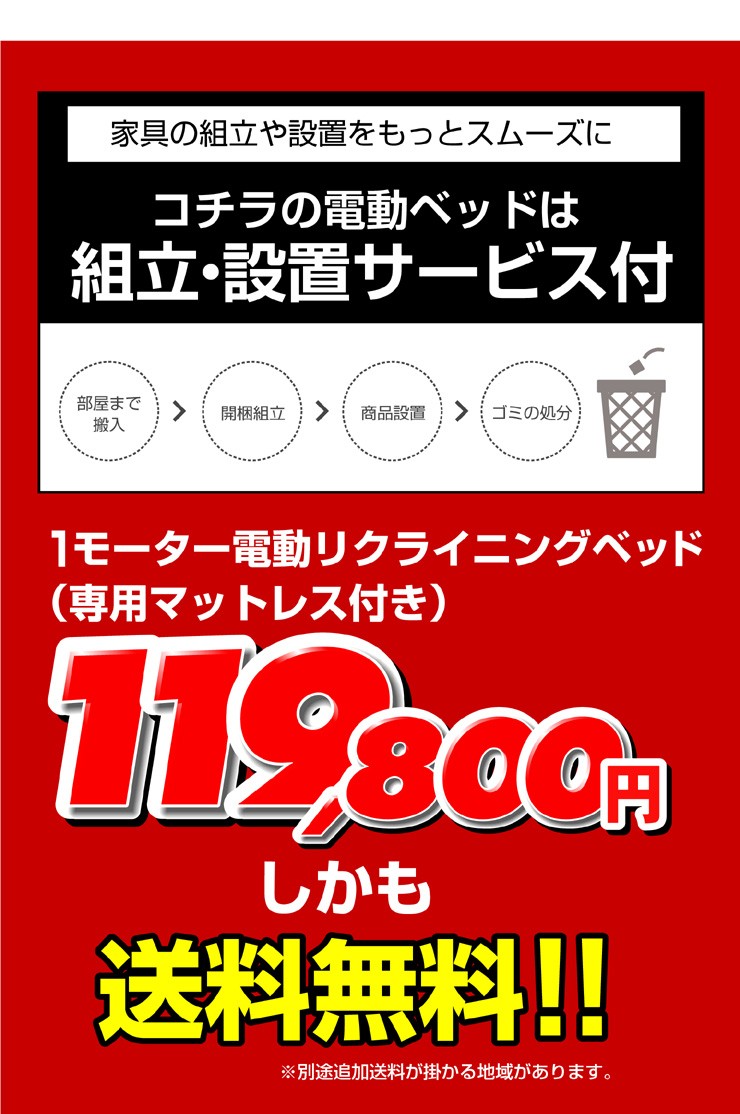 電動ベッド 介護ベッド フランスベッド リクライニングベッド イーゼル