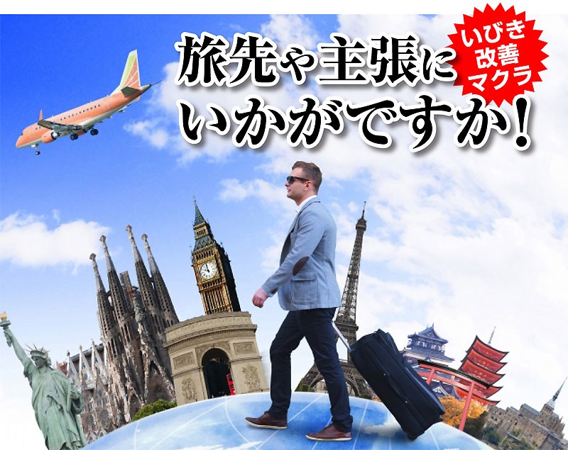 フランスベッド（FRANCEBED） スリープバンテージトラベル いびき対策