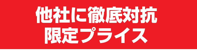 竹すのこベッド モデル1 シングル　セミダブル ダブル 激安