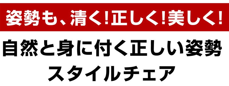 スタイルチェア バランスチェア