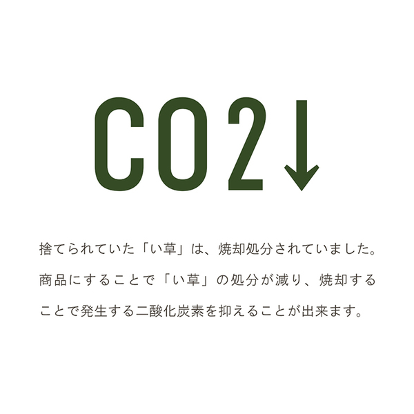 サスティナブル irucico いるしこ みらい 自然素材 国産 日本製 い草