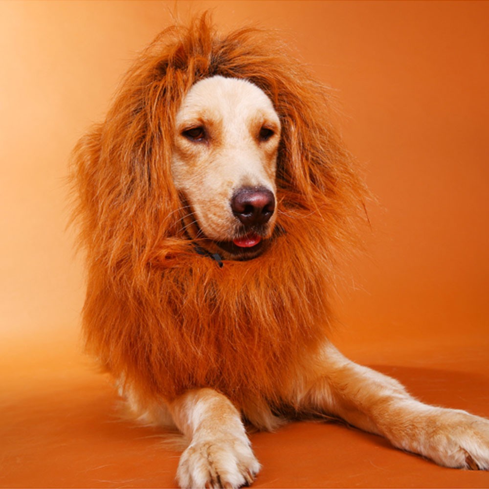 ペット用　ライオンコスチューム 小型犬 犬 猫 コスプレ