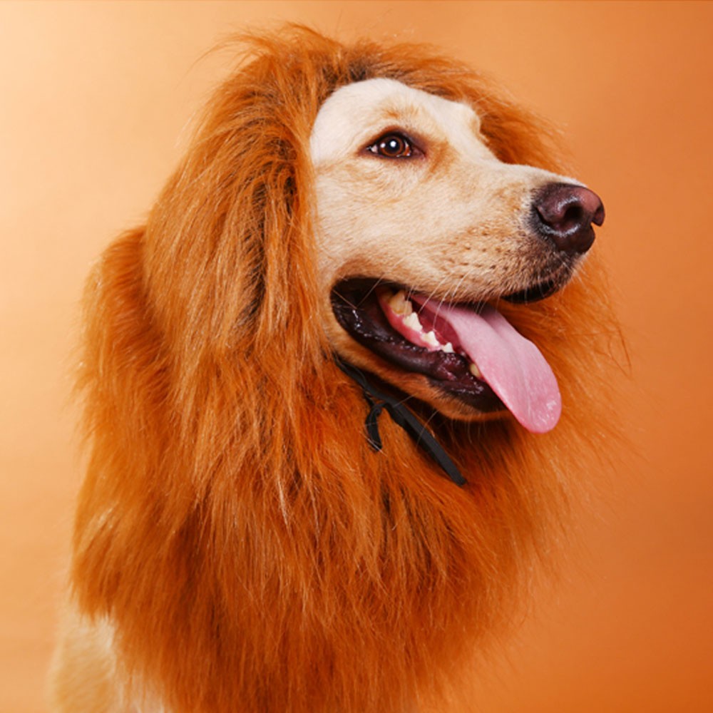 ペット用　ライオンコスチューム 小型犬 犬 猫 コスプレ