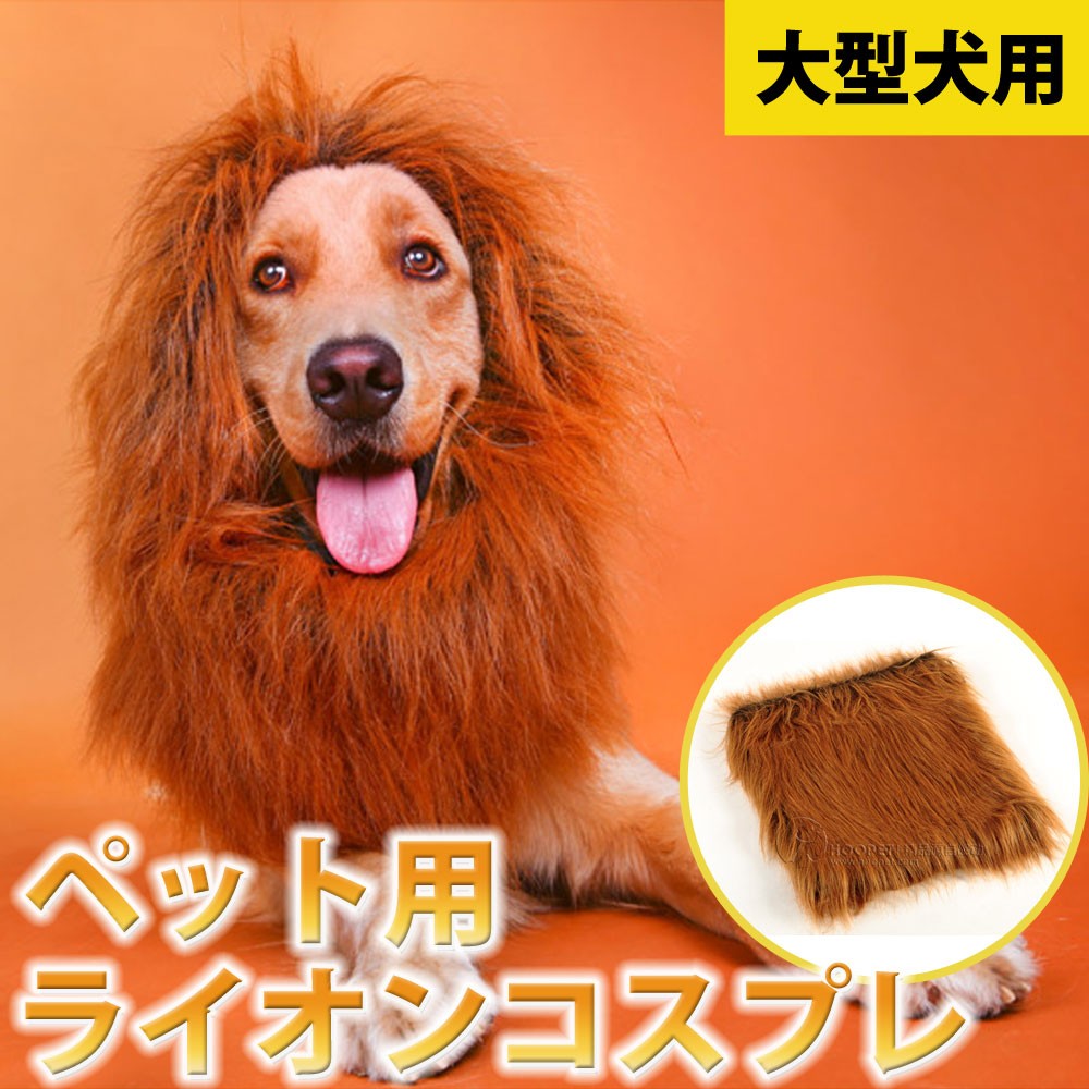 ペット用　ライオンコスチューム 小型犬 犬 猫 コスプレ