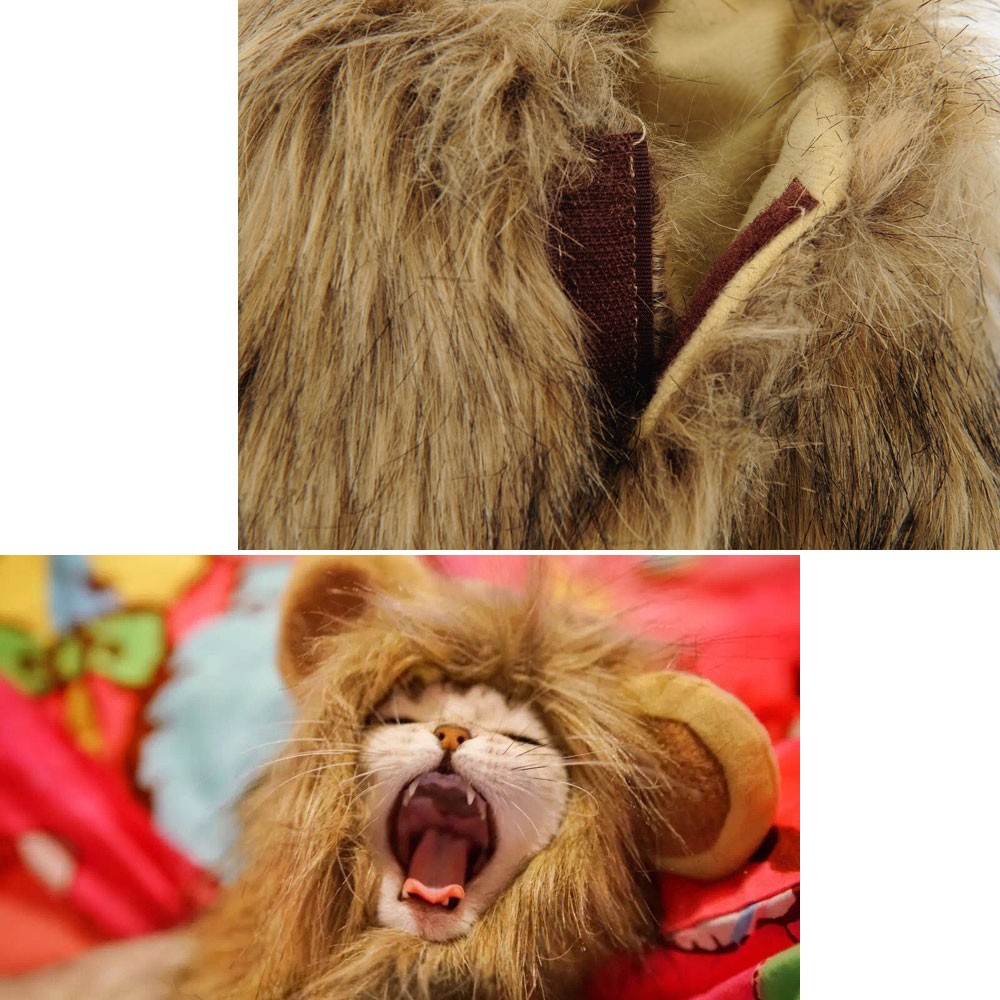 ペット用　ライオンコスチューム 小型犬 犬 猫 コスプレ