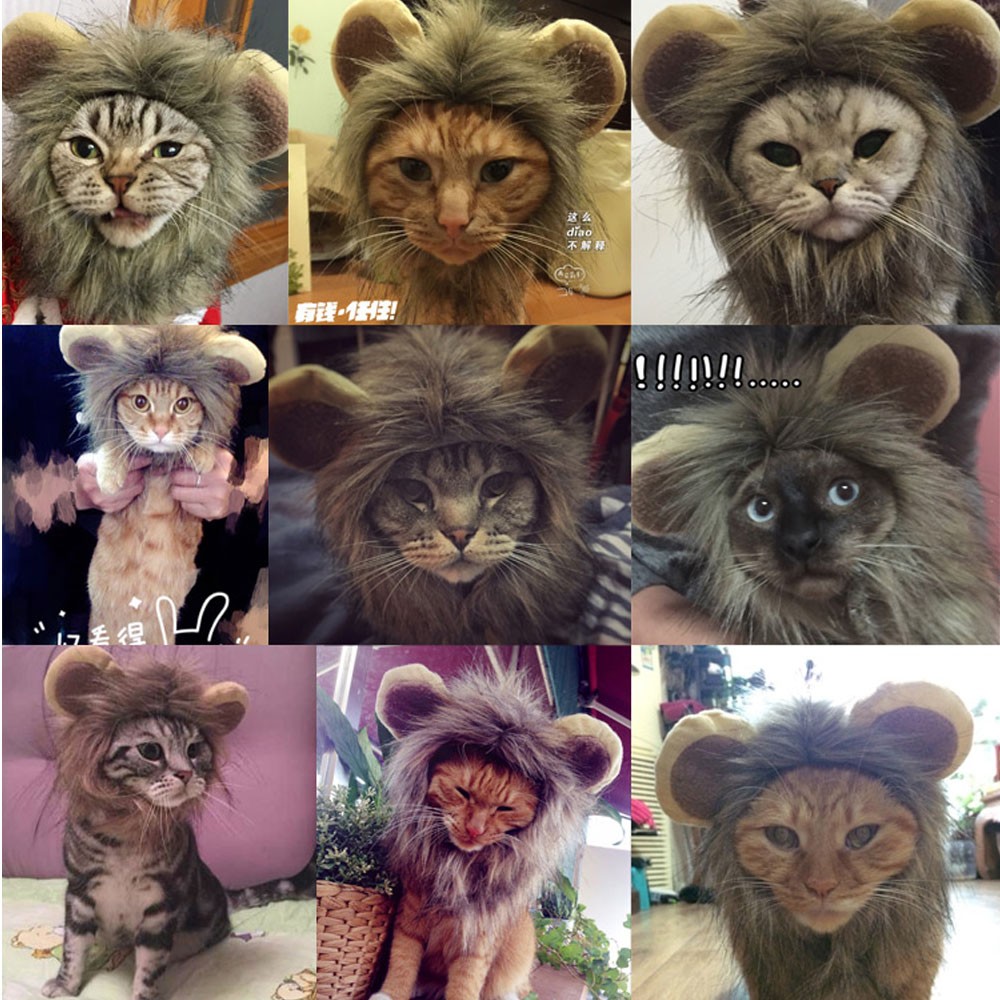 ペット用　ライオンコスチューム 小型犬 犬 猫 コスプレ