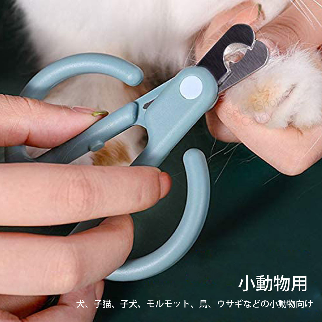 猫 爪切り つめきり カーブ爪きり ペット用爪切り 小型犬 ネコ用 ネイルケア トリマーハサミ ペットネイルトリマー 安全安心 軽量 持ちや