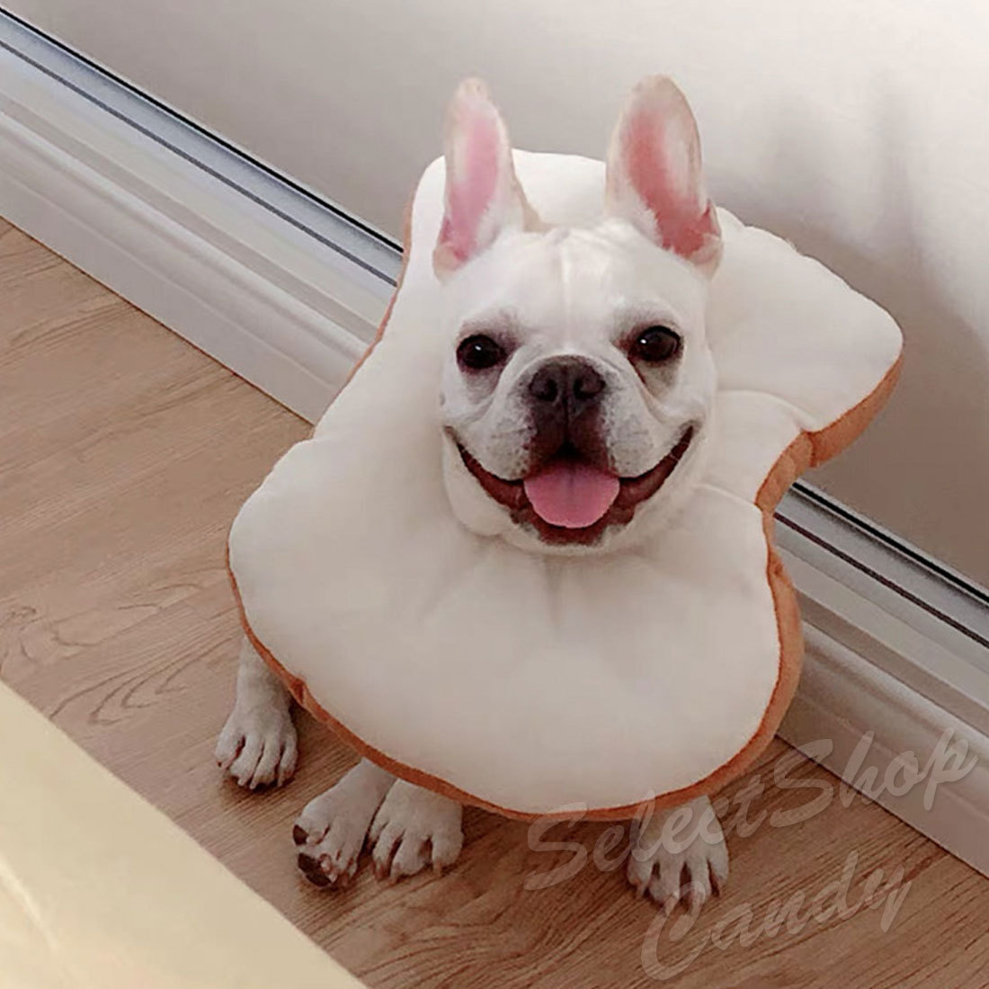 エリザベスカラー ペット 猫 犬 パン型 食パン型 おしゃれ