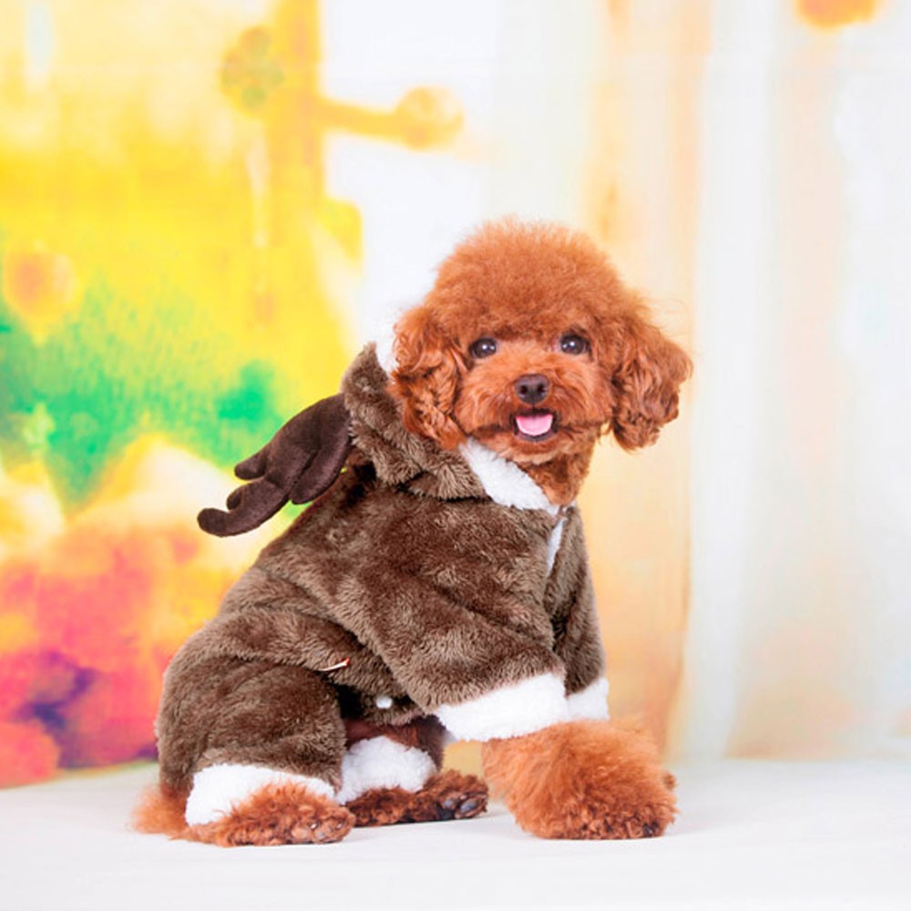 ペット用　ライオンコスチューム 小型犬 犬 猫 コスプレ