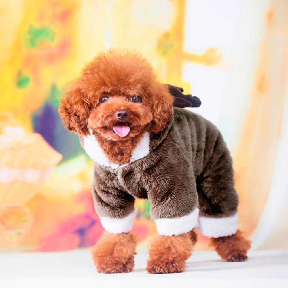 ペット用　ライオンコスチューム 小型犬 犬 猫 コスプレ