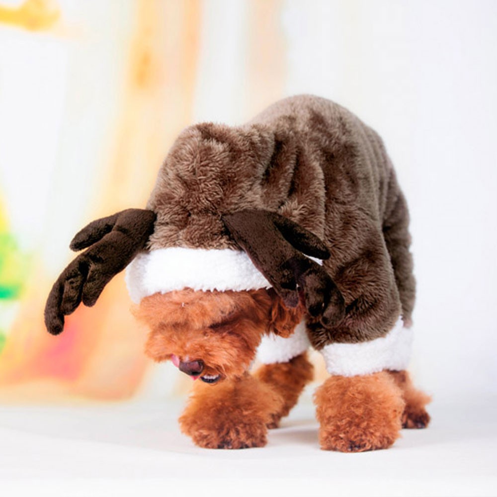 ペット用　ライオンコスチューム 小型犬 犬 猫 コスプレ