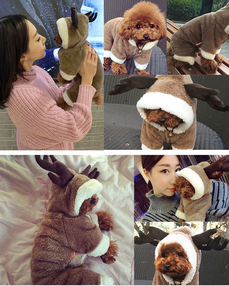 ペット用　ライオンコスチューム 小型犬 犬 猫 コスプレ