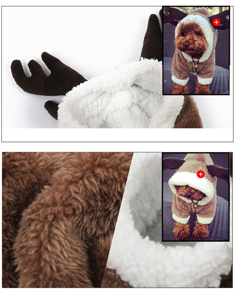 ペット用　ライオンコスチューム 小型犬 犬 猫 コスプレ