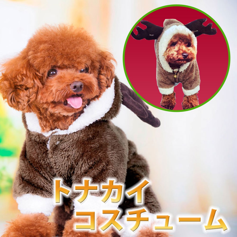 ペット用　ライオンコスチューム 小型犬 犬 猫 コスプレ