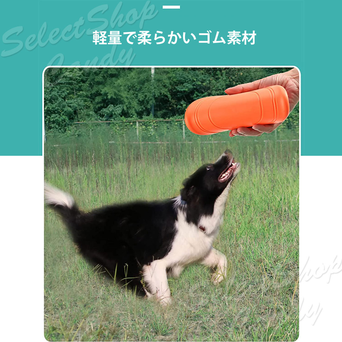 フリスビー