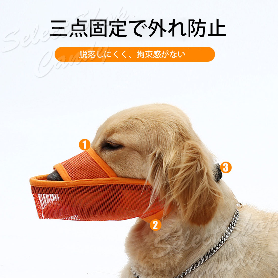 犬 口輪