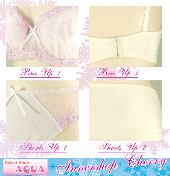 大きいサイズブラショーツセット