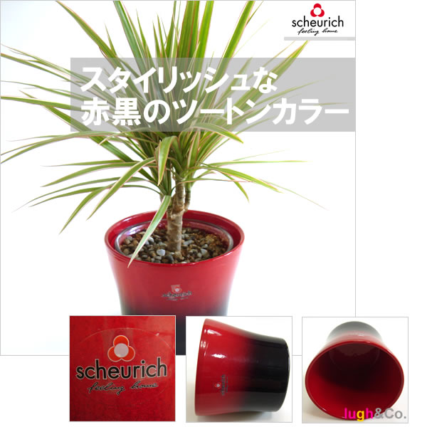 5号用 ドイツ シューリッヒ(scheurich)社 鉢カバー(プラントカバー