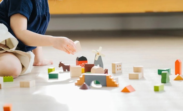 PLAN TOYS カントリーサイドブロック Countryside Blocks つみき 6293