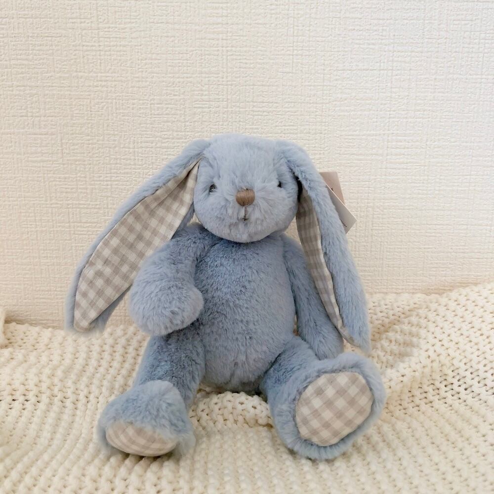 moni moni ANIMALS 限定版 えがおうさぎ 61TBYYxrxtL._UF350,350_QL80_.jpg