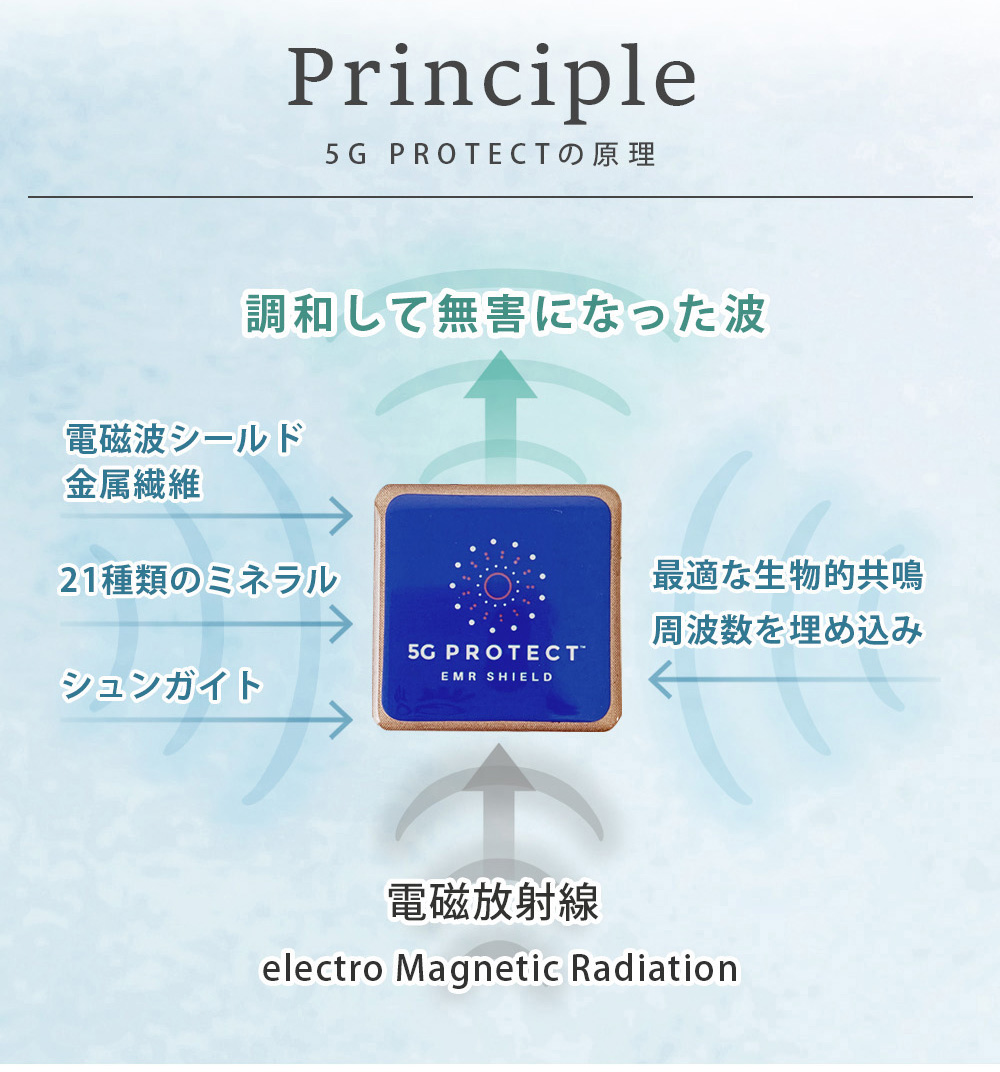 メール便送料無料 電磁波防止ステッカー 5Gプロテクト 5G 電磁波シールド 30日保証付き 発熱削減 永久使用 シール スマホ タブレット 電子機器  遮断 WiFi 5G : k2405314203 : ルナワールド ヤフー店 - 通販 - Yahoo!ショッピング