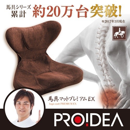 骨盤クッション 腰痛 馬具マットプレミアムEX : LUNA BEAUTY ヤフー店