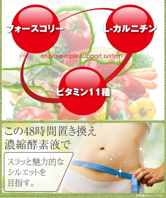 酵素 ドリンク 置き換え 生粋酵素液48時間ファスティング ダイエット