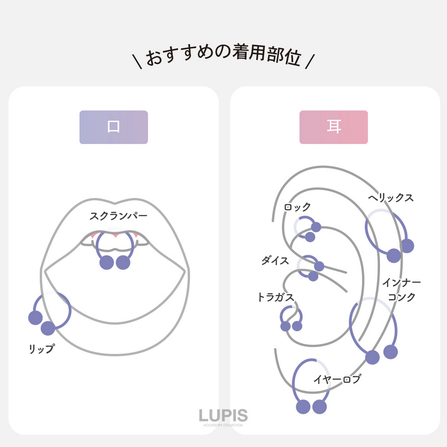 LUPIS（ルピス） ボディピアス 14G サーキュラーバーベル 軟骨ピアス